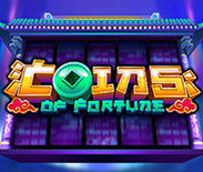 Coins of Fortune